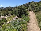 photo thumbnail #13