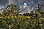 photo thumbnail #12