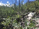 photo thumbnail #9