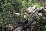 photo thumbnail #8