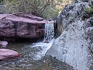 recent photo