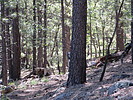 photo thumbnail #3