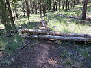 photo thumbnail #4