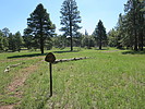 photo thumbnail #9