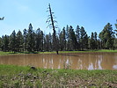 photo thumbnail #10