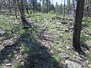 photo thumbnail #12