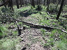 photo thumbnail #14