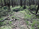 photo thumbnail #15