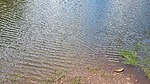 photo thumbnail #10