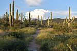 photo thumbnail #6