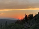 photo thumbnail #12