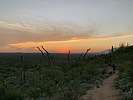 photo thumbnail #14