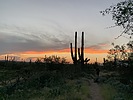 photo thumbnail #15