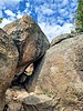photo thumbnail #7
