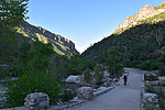 photo thumbnail #3