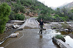 photo thumbnail #5
