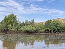 photo thumbnail #4