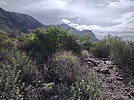 photo thumbnail #5