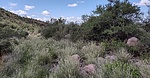 photo thumbnail #7