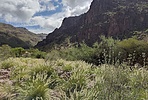 photo thumbnail #9