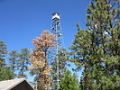 photo thumbnail #3