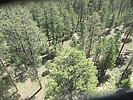 photo thumbnail #14
