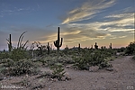 photo thumbnail #1