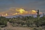 photo thumbnail #2