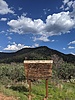 photo thumbnail #15