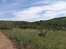 photo thumbnail #10