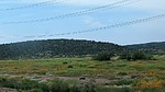 photo thumbnail #11