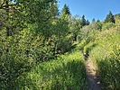 photo thumbnail #11