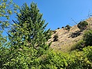 recent photo