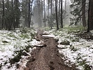 photo thumbnail #3