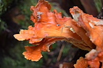 photo thumbnail #15