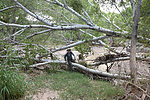 photo thumbnail #3