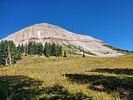 photo thumbnail #7