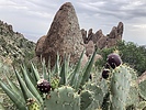 photo thumbnail #4
