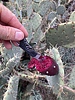 photo thumbnail #5