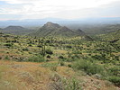 photo thumbnail #10
