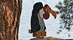 photo thumbnail #11