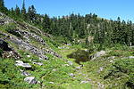 photo thumbnail #7