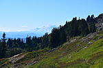 photo thumbnail #9