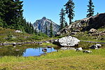 photo thumbnail #13