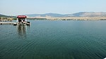 photo thumbnail #1