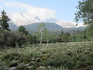 photo thumbnail #11