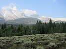 photo thumbnail #14