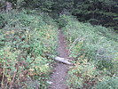 photo thumbnail #2