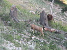 photo thumbnail #5