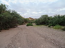photo thumbnail #1